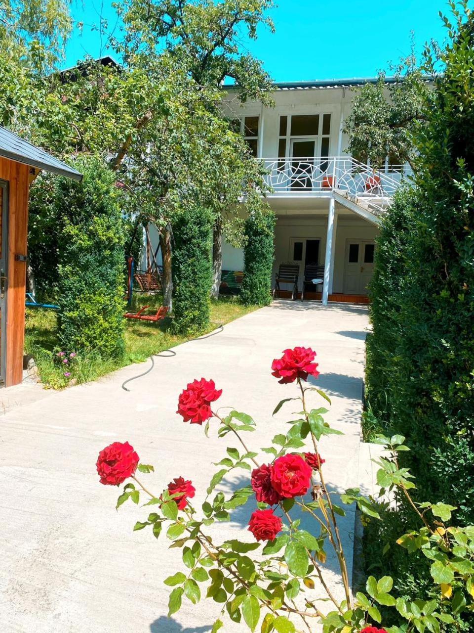 فندق Green Garden ديليجان المظهر الخارجي الصورة