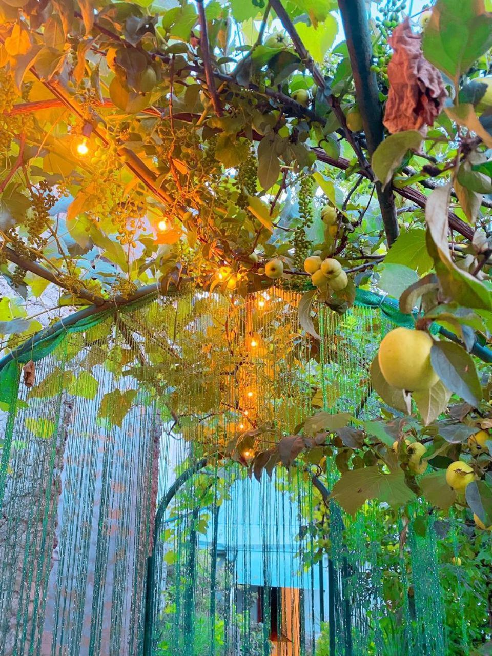 فندق Green Garden ديليجان المظهر الخارجي الصورة